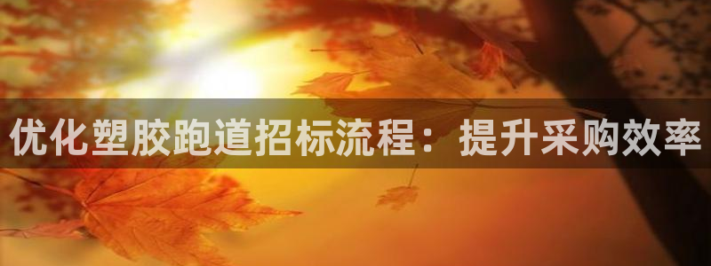尊龙AG旗舰店：优化塑胶跑道招标流程：提升采购效率