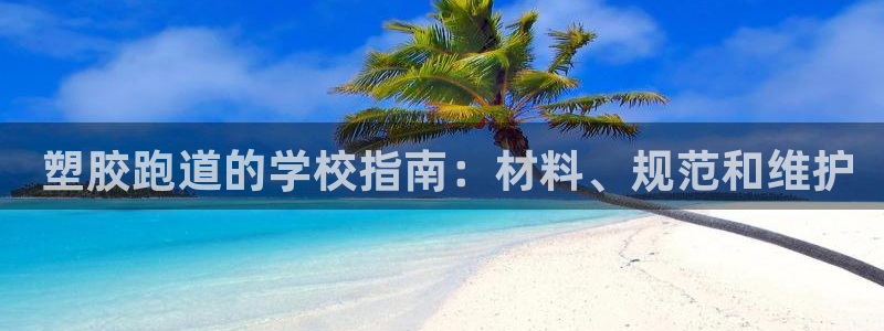 尊龙人生就是博网站： 塑胶跑道的学校指南：材料、规范和维护
