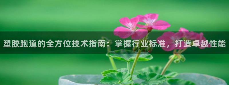 尊龙手机客户端app：塑胶跑道的全方位技术指南：掌握行业标准，打造卓越性能