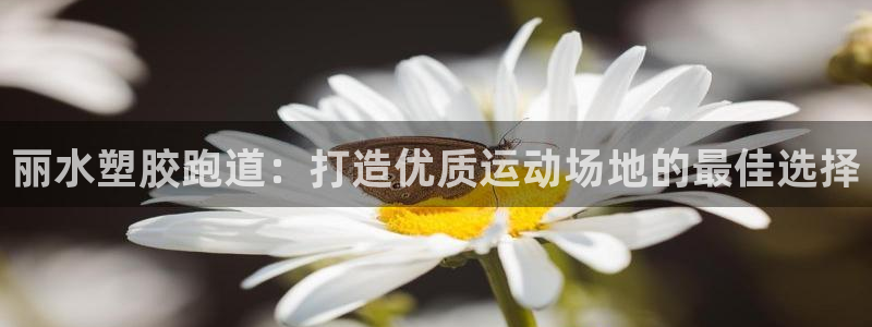 尊龙人生就是博中国区