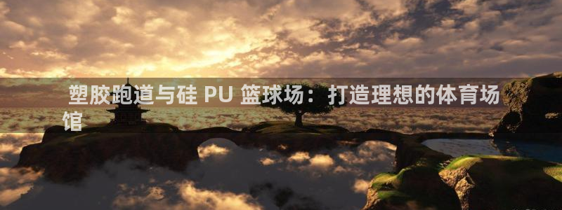 ZL尊龙凯时集团： 塑胶跑道与硅 PU 篮球场：打造
