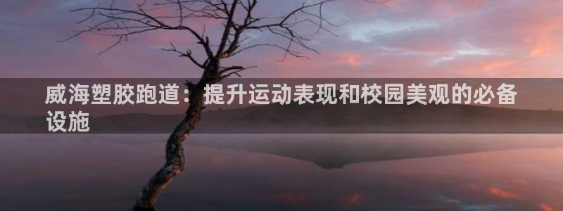 尊龙凯时人生就是搏 品牌专区：威海塑胶跑道：提升运动表现和校