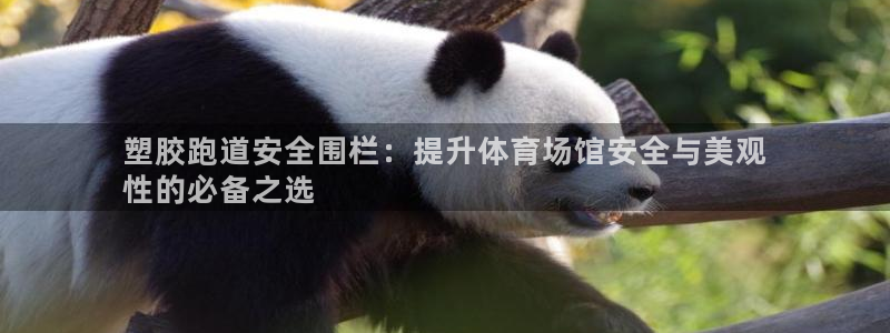 尊龙凯时贴吧：塑胶跑道安全围栏：提升体育场馆安全与美观
性的必备之选