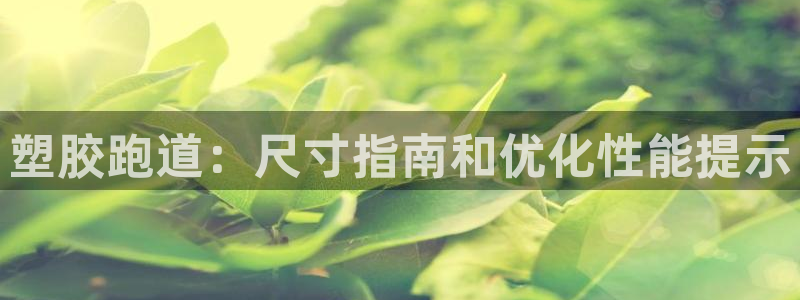 尊龙凯时人生就是博·(中国)官网官：塑胶跑道：尺寸指南和优化