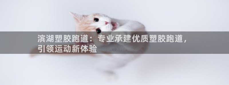 尊龙coming to my own：滨湖塑胶跑道：专业承建
