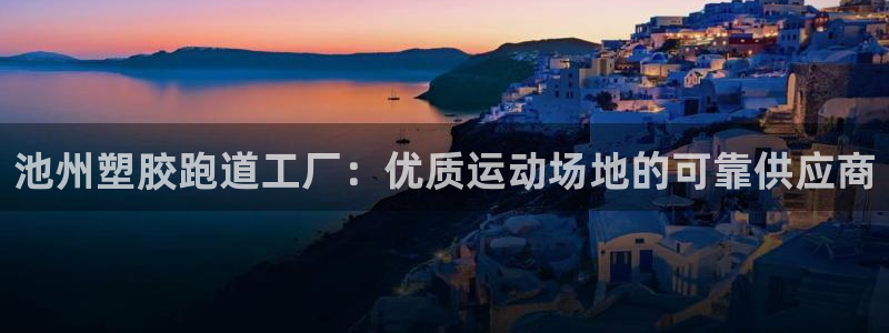 尊龙AG旗舰厅APP：池州塑胶跑道工厂：优质运动场地的可靠供
