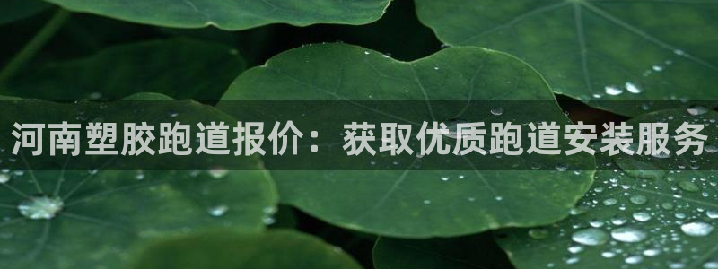 尊龙登录会员登录：河南塑胶跑道报价：获取优质跑道安装