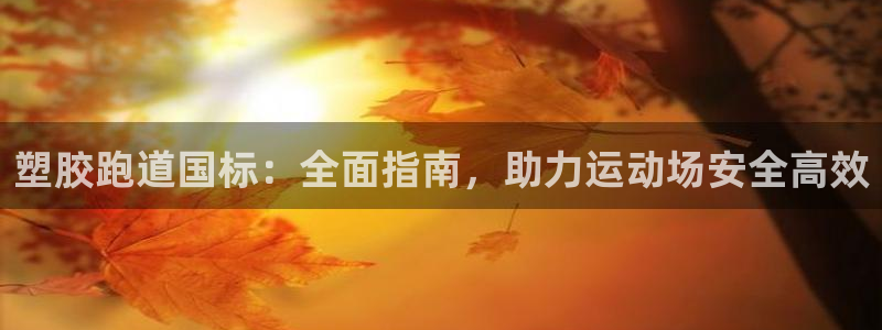 尊龙凯时人生就是搏技术实力：塑胶跑道国标：全面指南，助力运动场安全高效