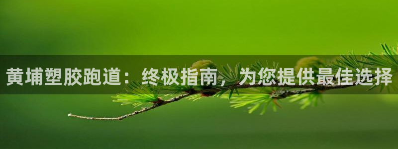 尊龙凯时-人生就是博中国官网首页：黄埔塑胶跑道：终极