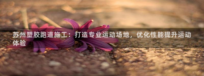 尊龙人生就是博官方官网：苏州塑胶跑道施工：打造专业运动场地，