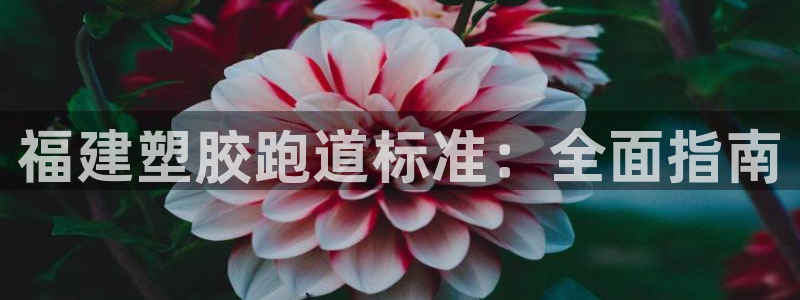 尊龙凯时代理官网入口：福建塑胶跑道标准：全面指南