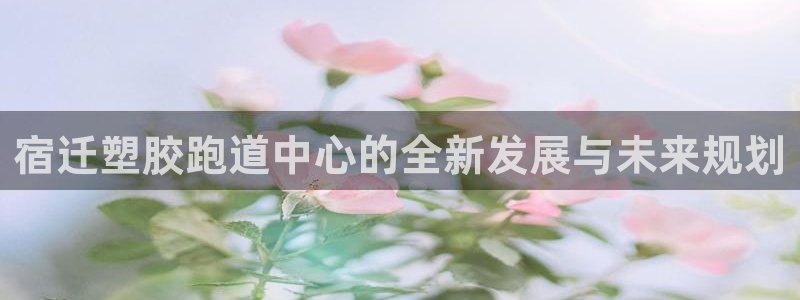 尊龙官网手