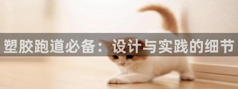 尊龙网址苹果版下载