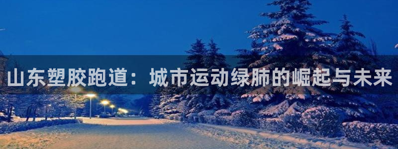 尊龙集团有限公司是国企吗