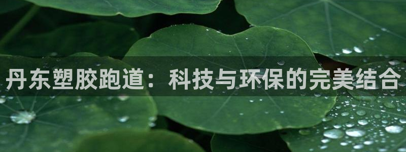 尊龙官方身高