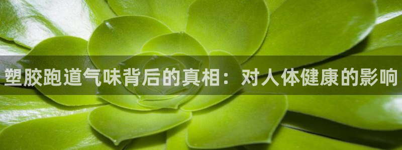 尊龙人生手机版：塑胶跑道气味背后的真相：对人体健康的