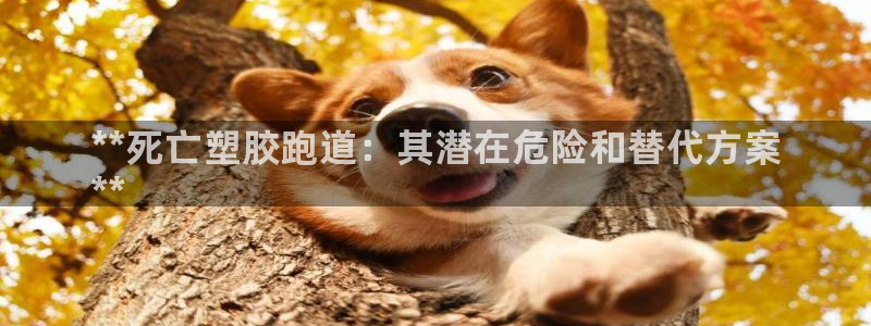 尊龙d88会员：**死亡塑胶跑道：其潜在危险和替代方案
**